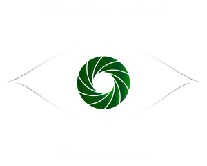 kirsten_heer_logo_white_green_narrow_v8